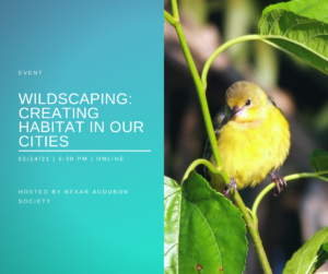FB Wildscaping: Creating Habitat in Our Cities Event