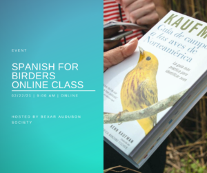 Spanish for Birders Online Class