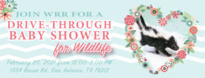 wildlife rescue and rehabilitation drive through baby shower