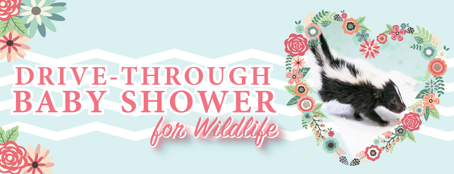 Drive-Through Baby Shower for Wildlife