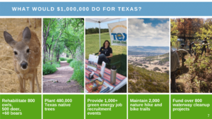 earthshare of texas 2021 impact report impact statements