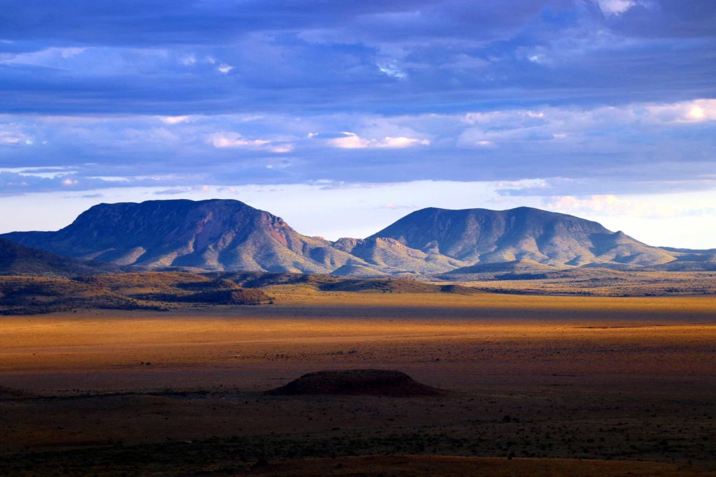 EarthShare Texas environmental nonprofit