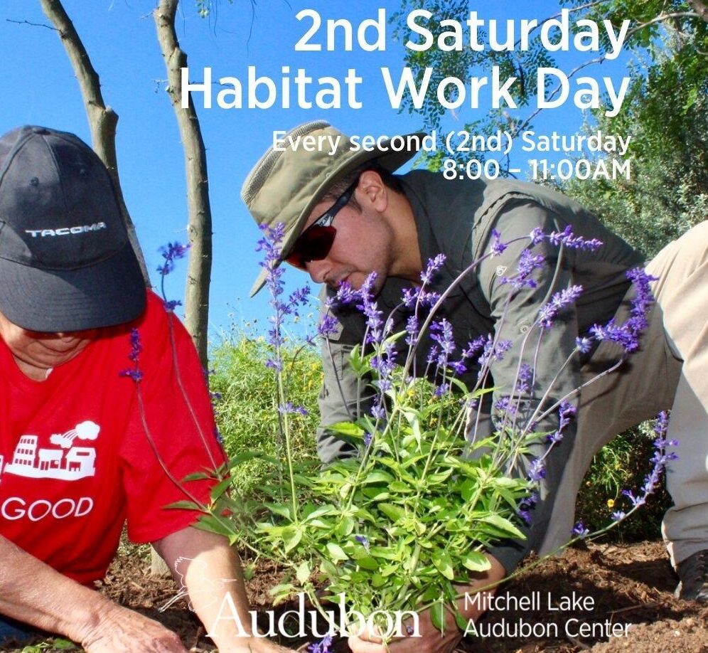 Habitat Work Day Audubon Texas