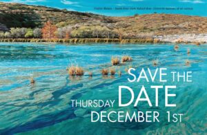 Water Works: Greater Edwards Aquifer Alliance Dinner and Art Auction