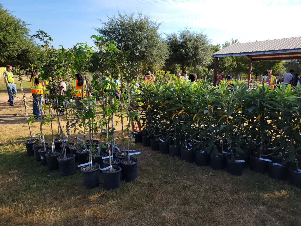 NeighborWoods Program Distributes Over 5000 Trees Annually to Under-Resourced Austin Communities