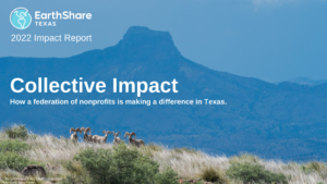 impact report, Earthshare Texas