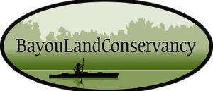 Bayou Land Conservancy Bird Walk Spring Creek Nature Trail April