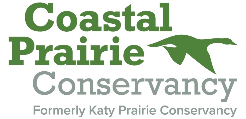 Coastal Prairie Conservancy Restoration Roundup 2023 Indiangrass Preserve