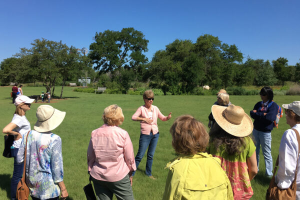 Lady Bird Johnson Wildflower CenterIMG_6843_SFW Lady Bird Johnson Wildflower Center Guided Garden Tours Every Monday Wednesday Friday Earth Month