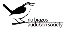 Rio Brazos Audubon Society Owl Prowl Park in the Dark Lick Creek Park