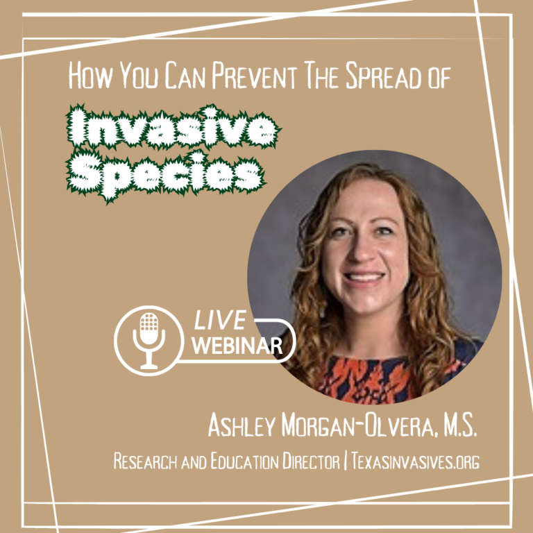 Webinar How You Can Prevent The Spread Of Invasive Species Earthshare Texas 