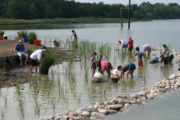 Marsh Mania at CLFP_credit GBF staff (2) Marsh Mania Galveston Bay Foundation Environmental Nonprofit Galveston Bay