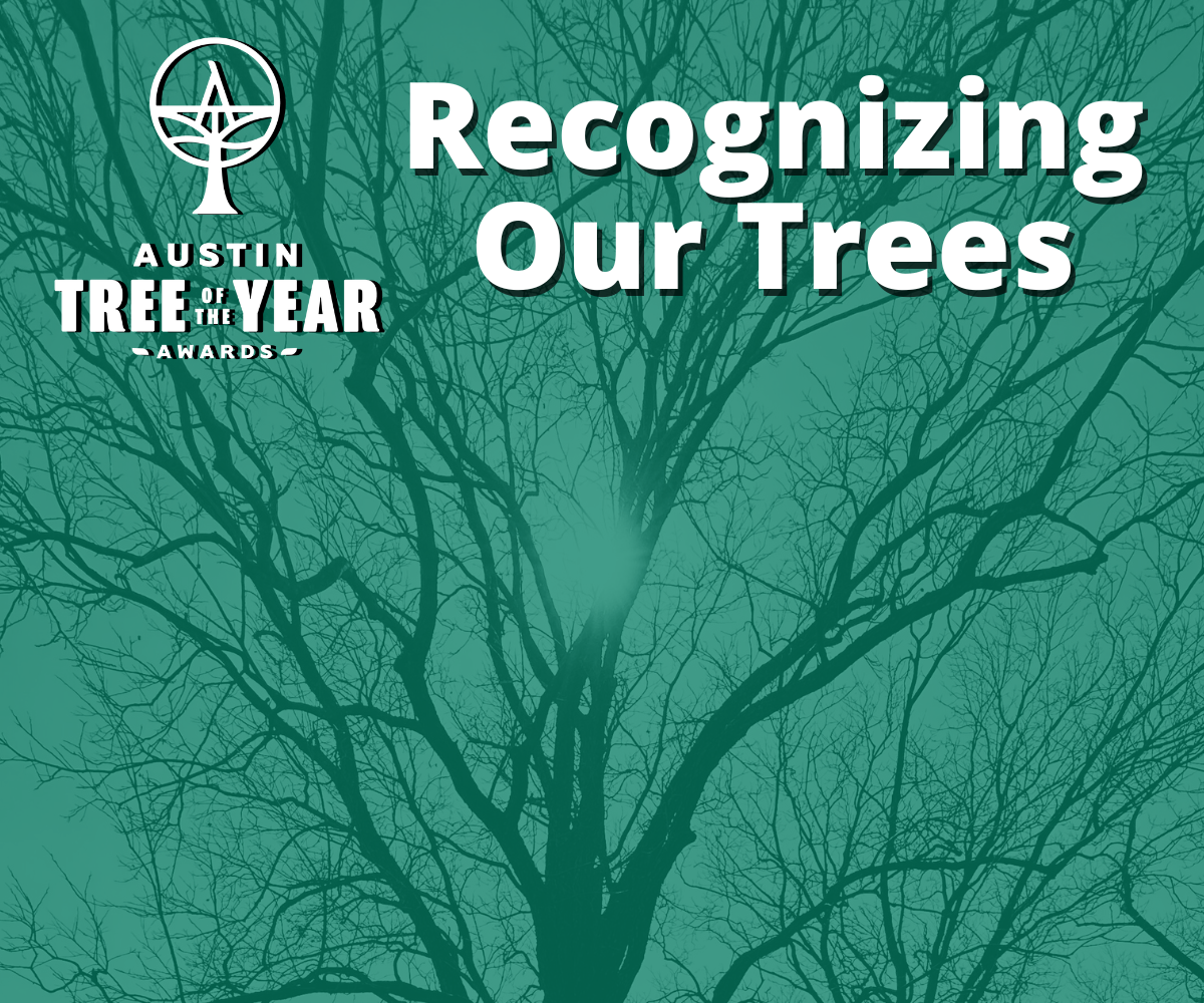 EarthShare Texas TreeFolks Austin Tree of the Year Awards 2023 Virtual