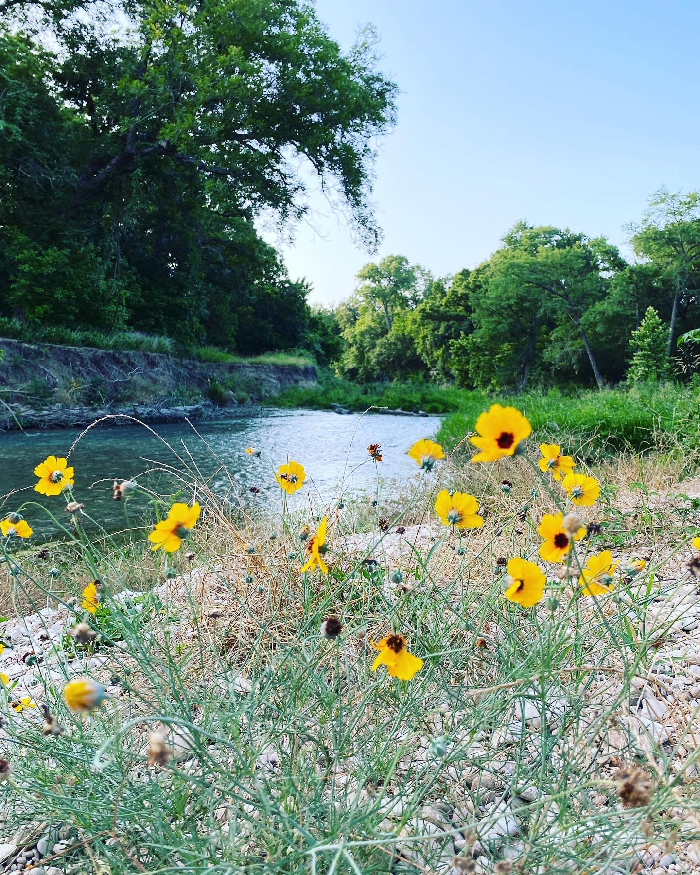 EarthShare Texas San Marcos River Foundation Silent Auction Environmental Nonprofit