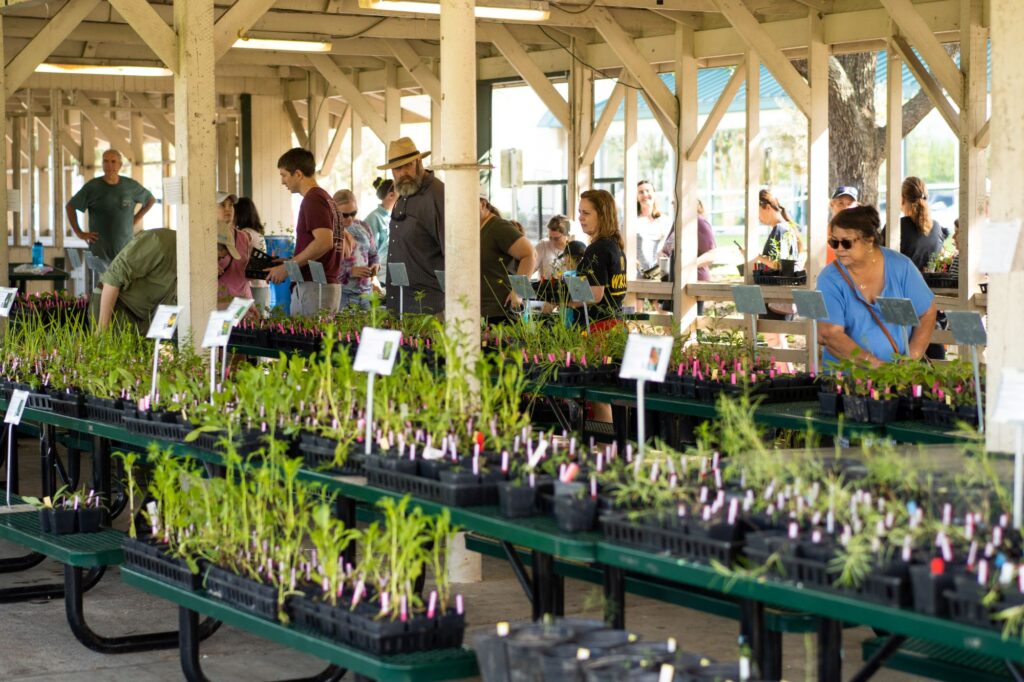 galveston bay foundation, native plant sale