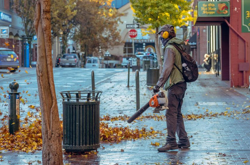 Human Noise is Harming Wildlife (From Citizen’s Environmental Coalition)